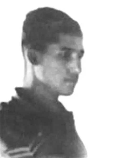 Naik Nar Singh