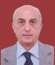 Vijay Krishan Shunglu